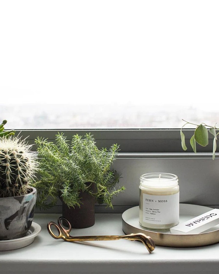 Brooklyn Candle Studio Fern Moss Tuoksukynttila Brooklyn Candle Studio New